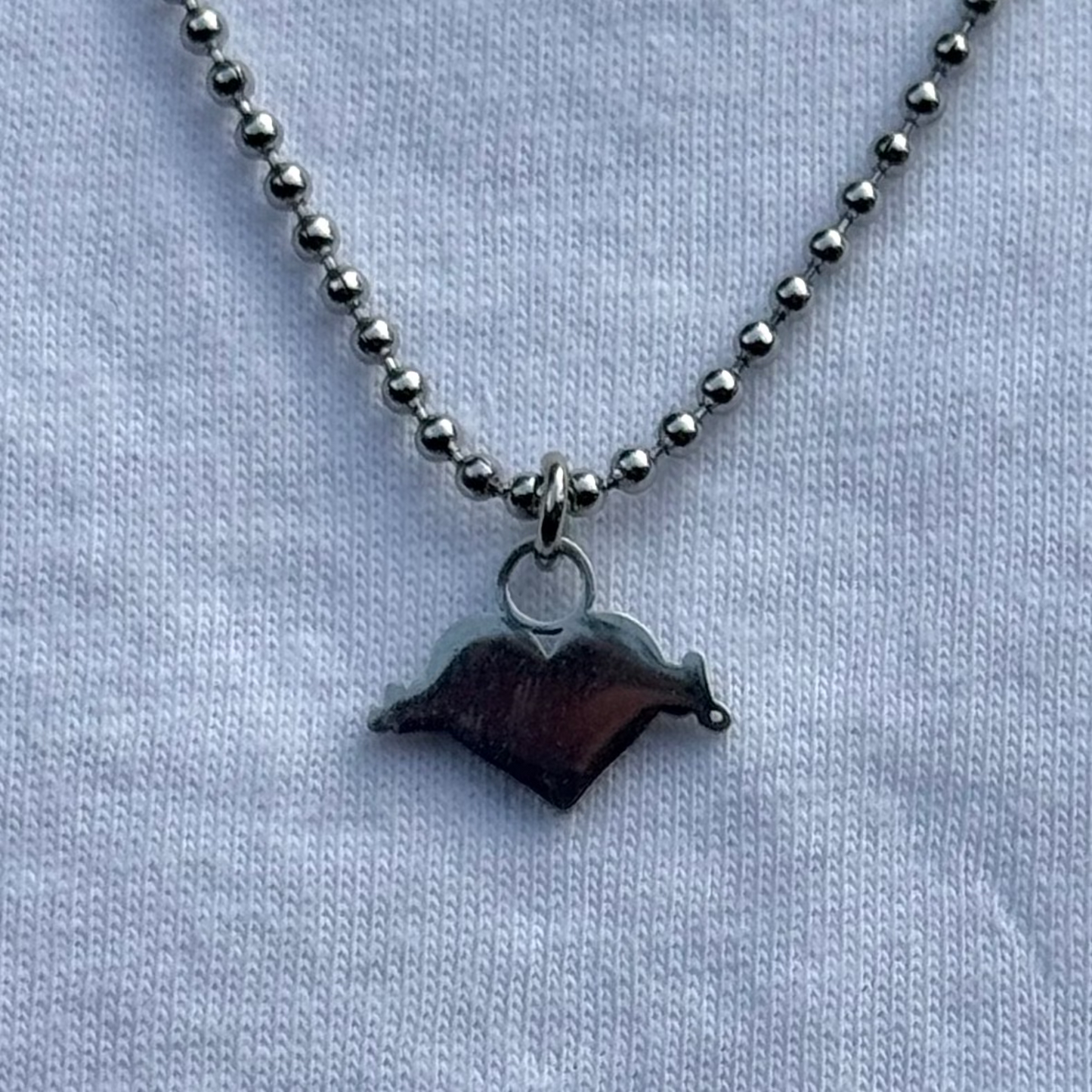 (Silver) Jesus Cares Chain Necklace
