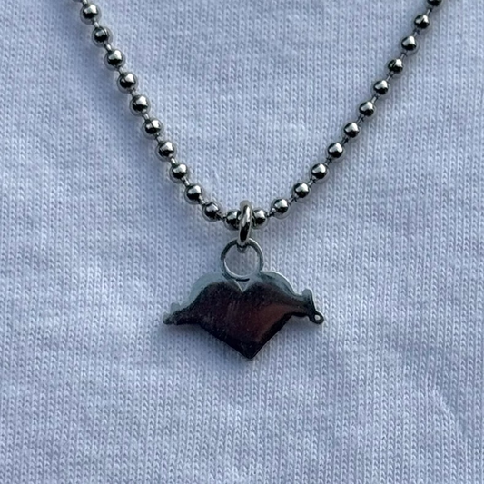 (Silver) Jesus Cares Chain Necklace